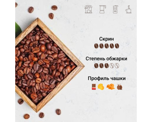 Кава Lavazza Nicaragua SHG EP